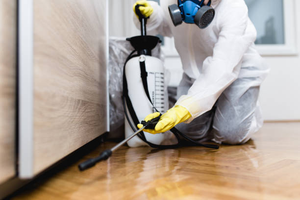 Best Wasp Removal Services  in East Chicago, IN