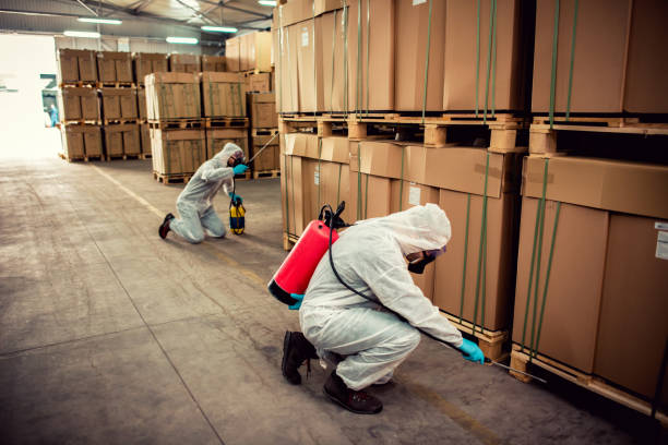 Best Cockroach Control Services  in East Chicago, IN