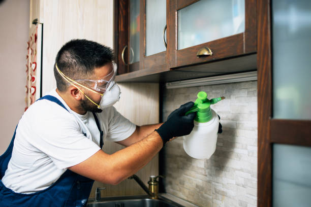 Best Pest Control Treatment  in East Chicago, IN