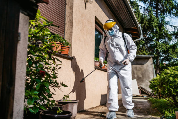 Best Pest Control for Businesses  in East Chicago, IN