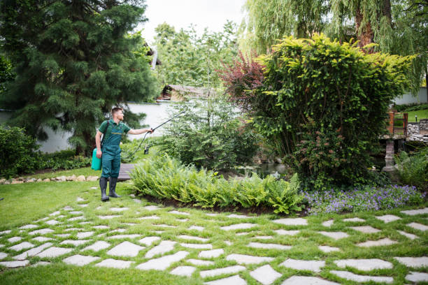 Best Ant Control Services  in East Chicago, IN