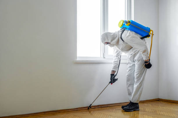 Insect Control in East Chicago, IN