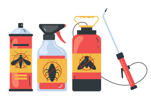 Best Termite Control Services  in East Chicago, IN