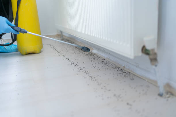 Best Pest Prevention Services  in East Chicago, IN