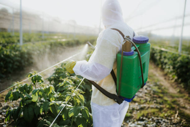 Best Affordable Pest Control Services  in East Chicago, IN